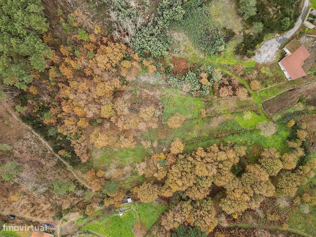 Terreno  para venda - Grande imagem: 2/33