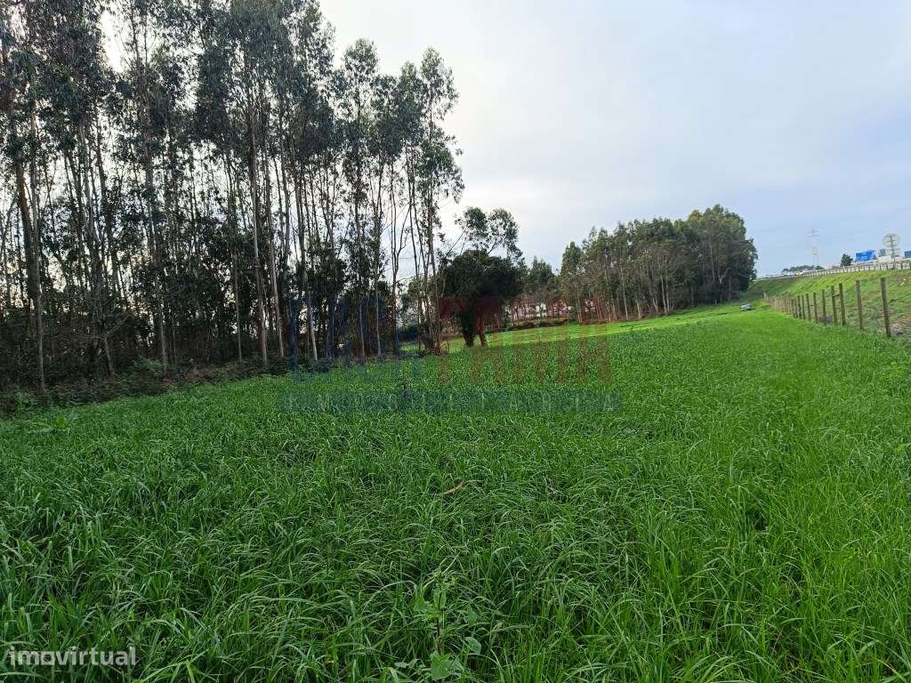 Terreno em Argivai - Póvoa de Varzim - Grande imagem: 4/4