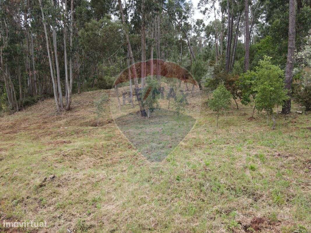 Terreno  para venda - Grande imagem: 5/6