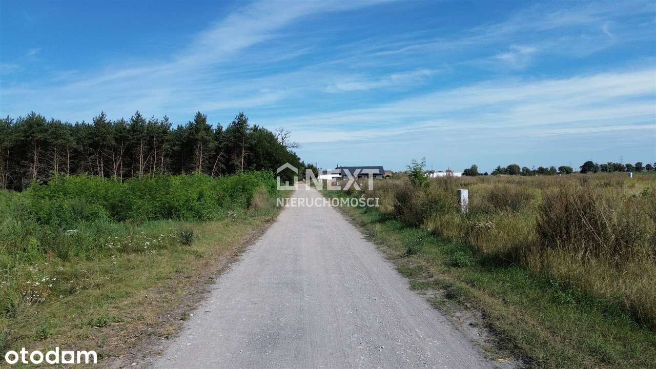 Nowy Podział Działek przy Lesie! Cisza!-4