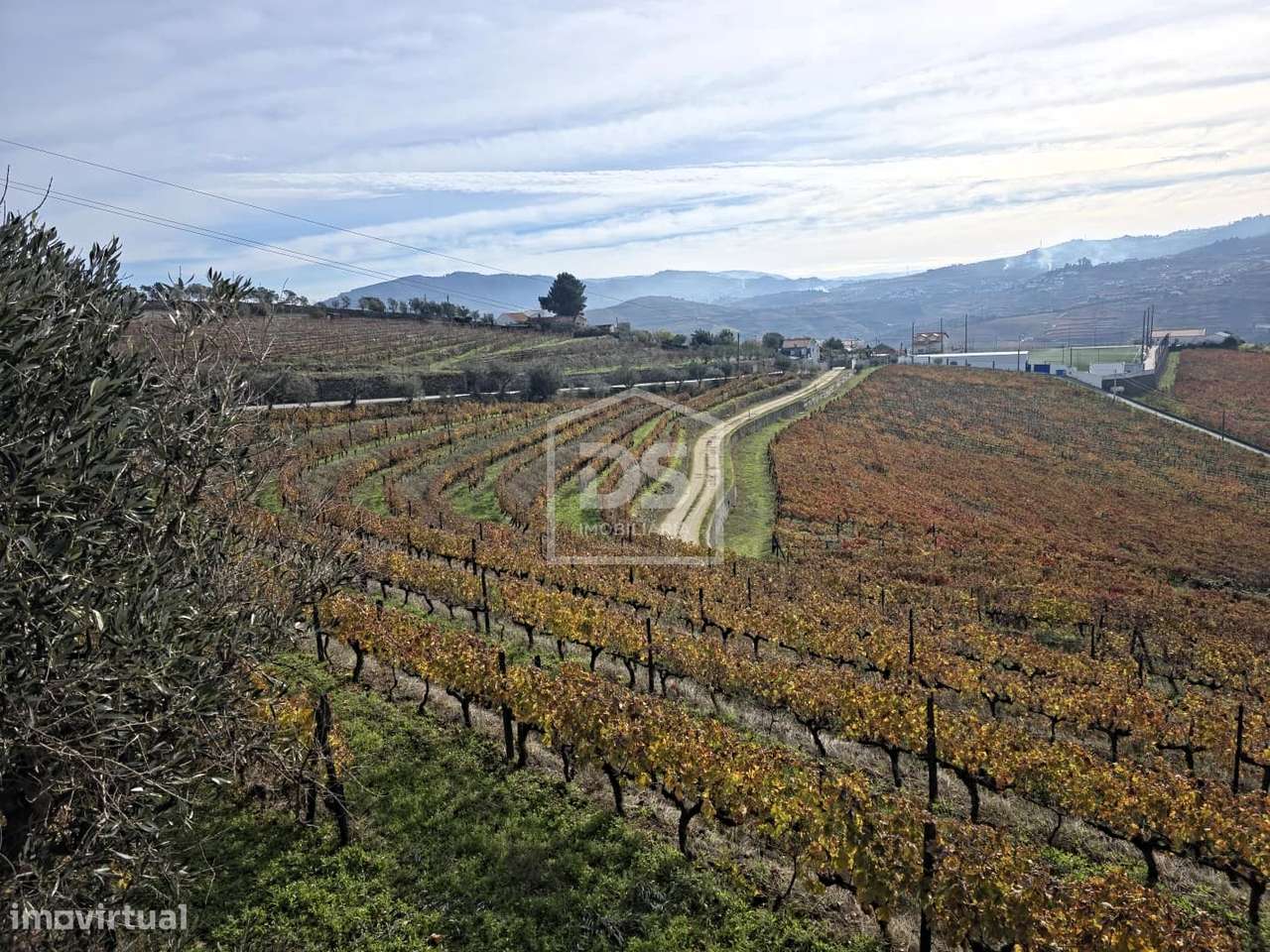 Quinta T4 Venda em Fontelas,Peso da Régua-3