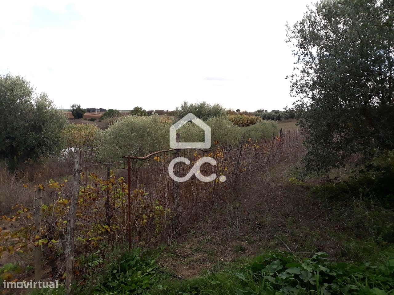 Quinta  em Beringel-24