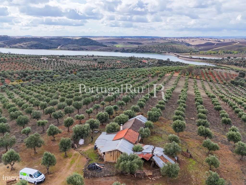 Herdade junto ao Alqueva com 15 hectares com Olival - Grande imagem: 2/23