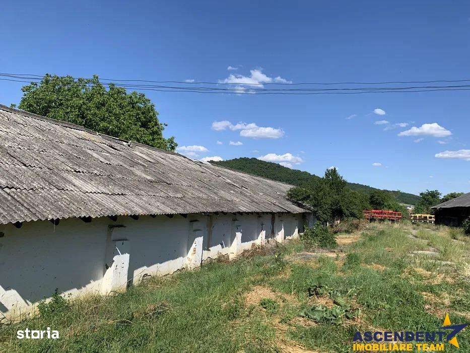 Spatiu comercialIndustrial multifunctional: productie, depozitare, log - Imagine principală: 1/7