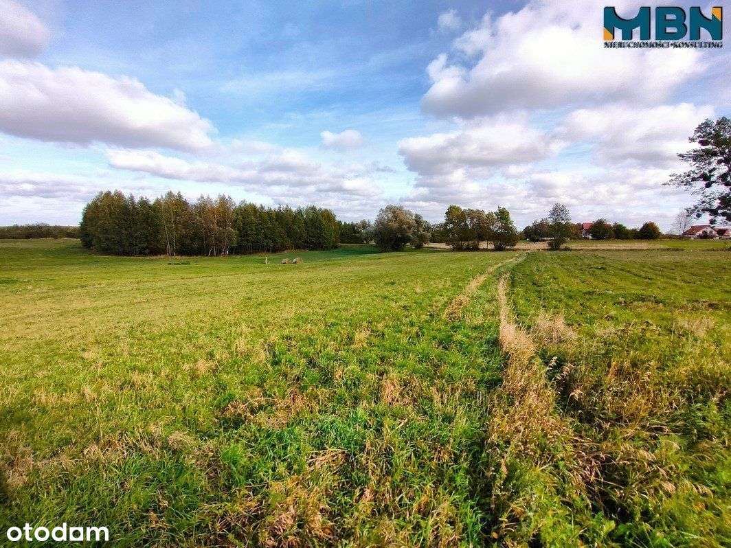 Działka budowlana (pod 4 domy) 1,11 ha Trygort - Pełny obrazek: 5/13