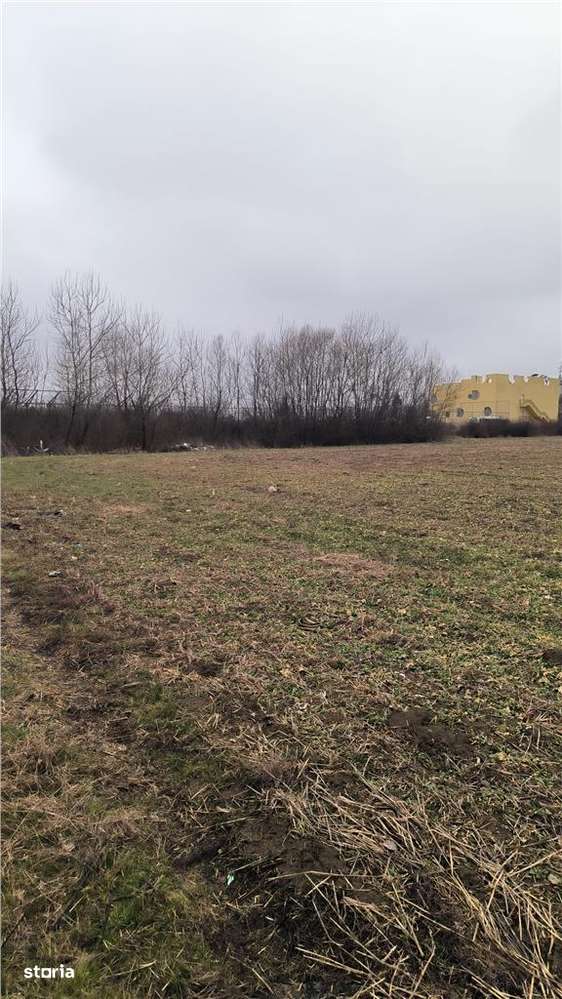 Teren Gruiu,21800mp,dubla deschidere,utilitati in apropiere-2