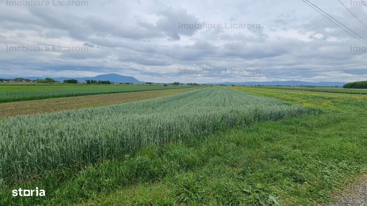 Teren Stupini Calea Feldioarei 4600 mp,21 euro/mp, front la asfalt-3