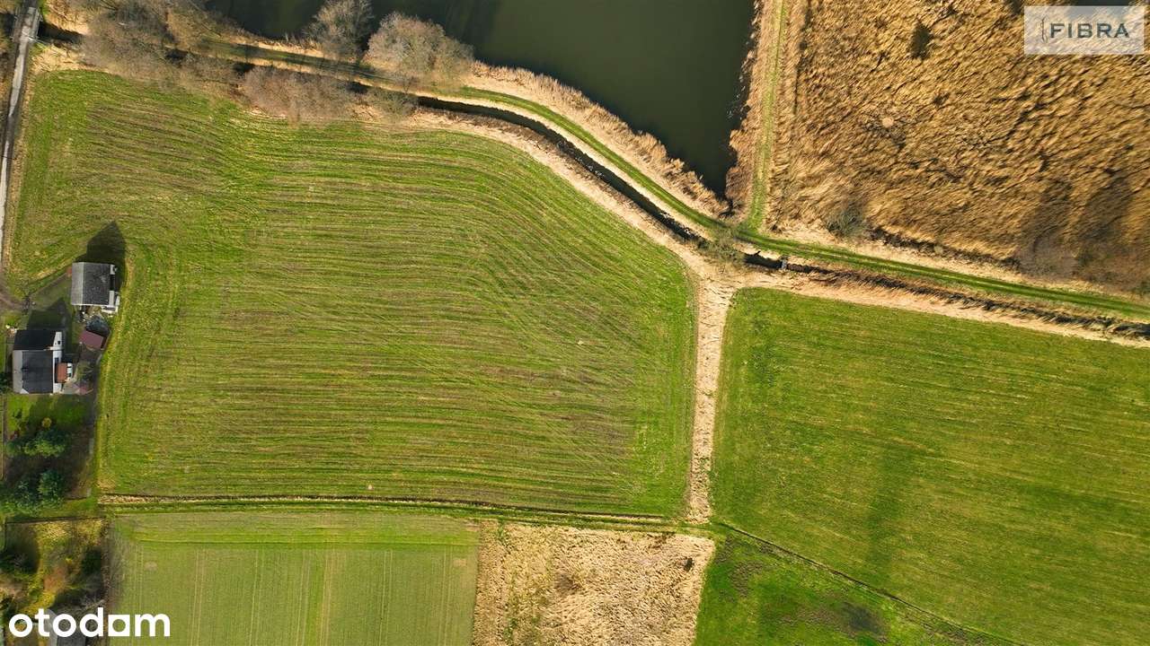 Bogactwo działki rolnej w Lyskach - Pełny obrazek: 4/20