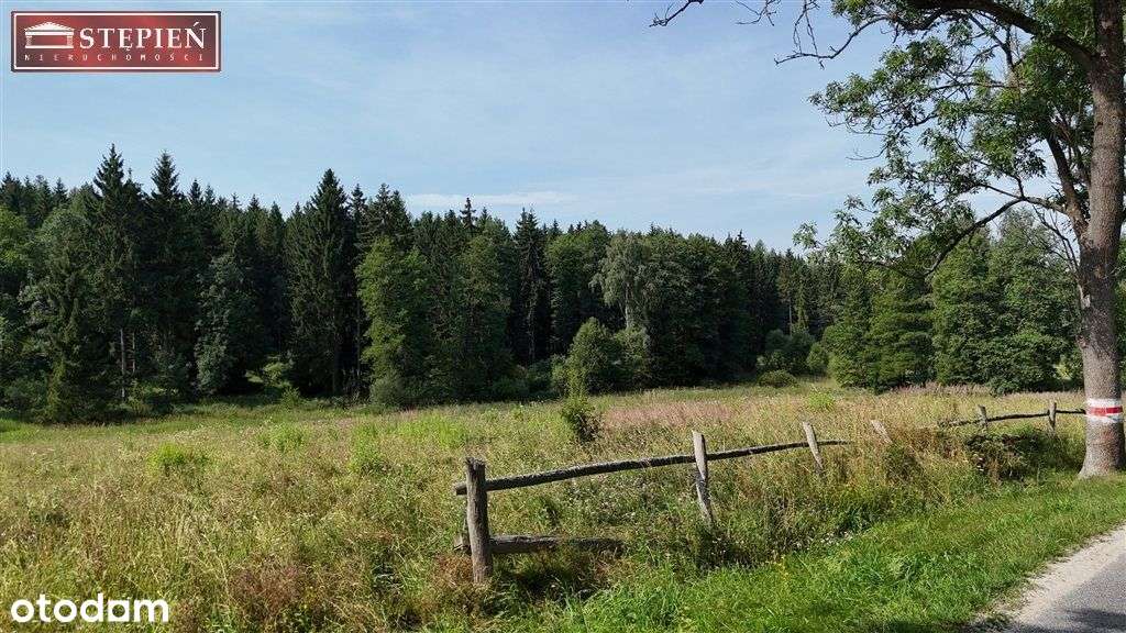 Działka z projektem podziału pod Jaworem - Pełny obrazek: 4/9