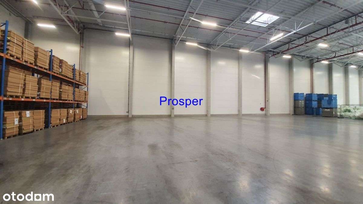 magazyn 10m wys. doki , brama 0 - Pełny obrazek: 4/9