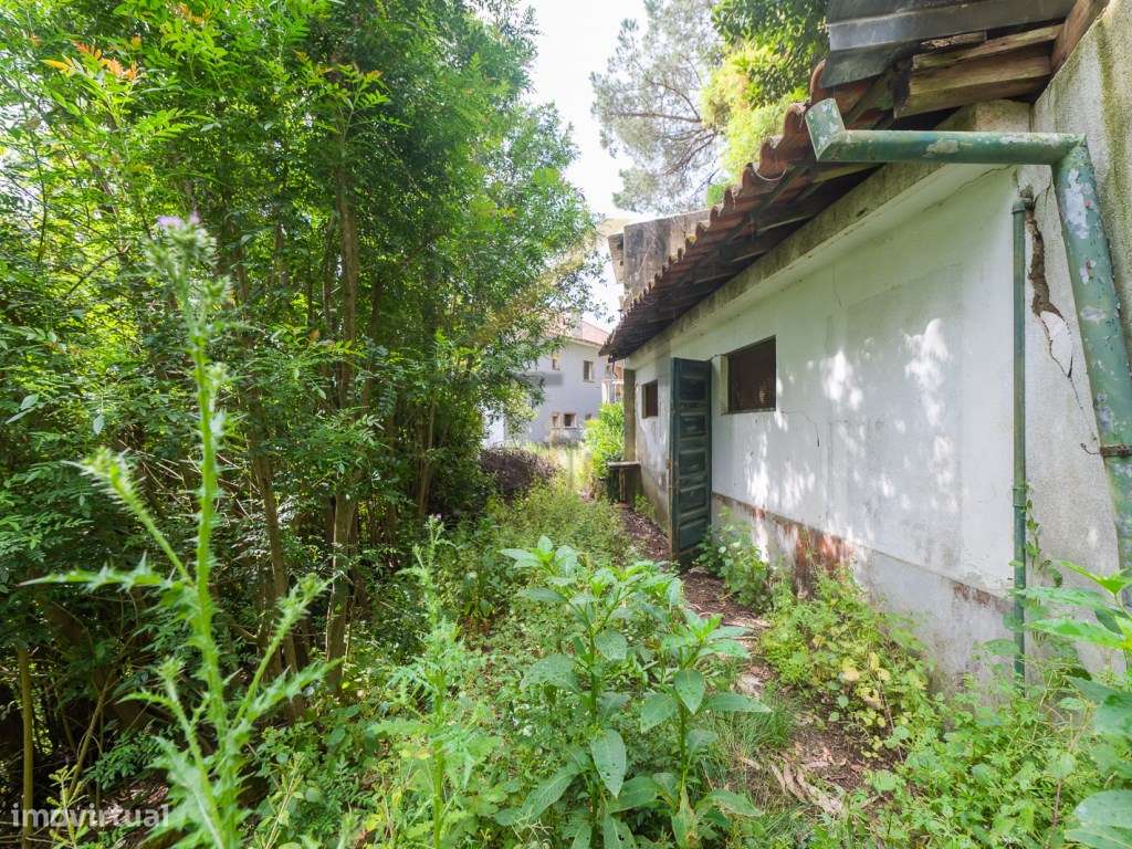Quinta de 1 ha com moradia de 260 m2-36