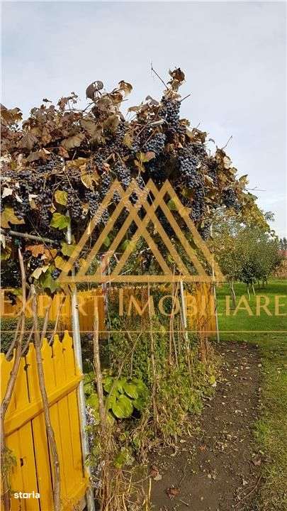 Casa Gospodarului din Bucovina-13