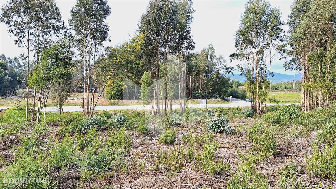 Lote de Terreno  Venda em Tondela e Nandufe,Tondela - Grande imagem: 3/9