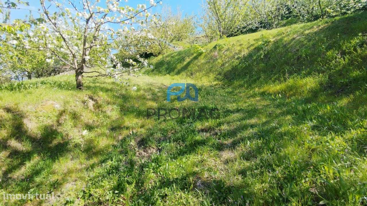 Quinta do Valado- Excelente Investimento em Resende-11