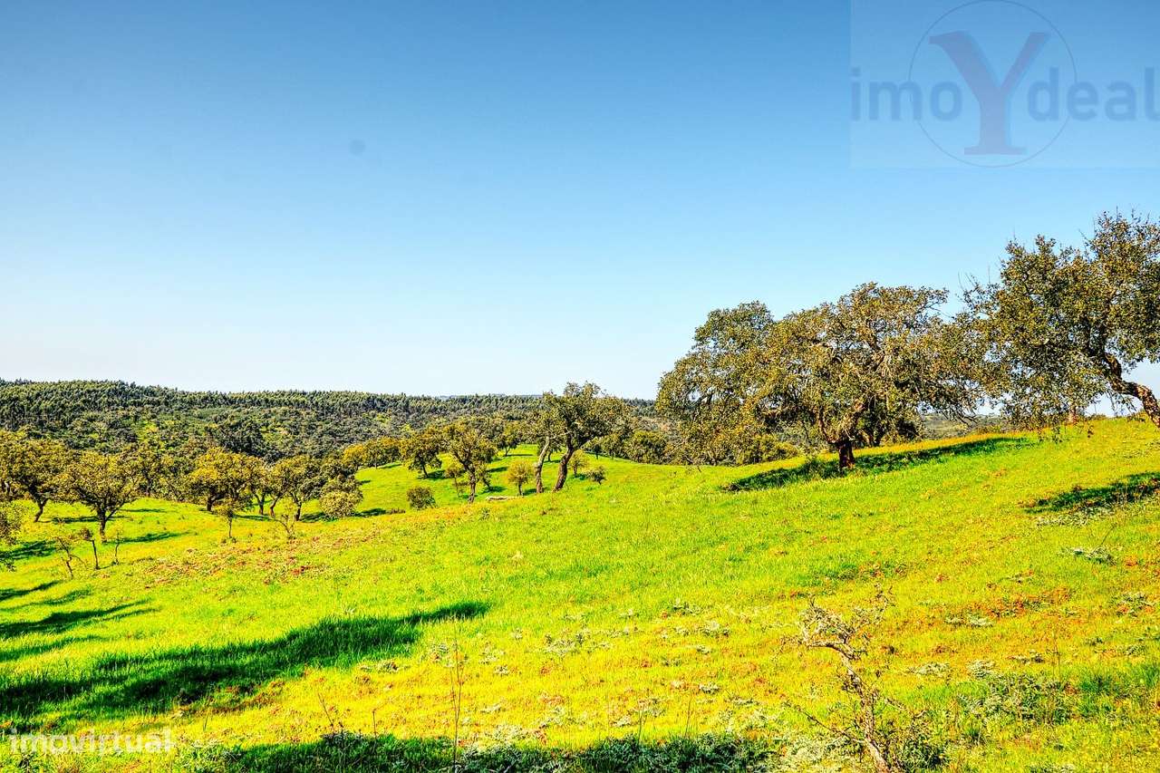 TERRENO EM S.BARTOLOMEU DA SERRA-24