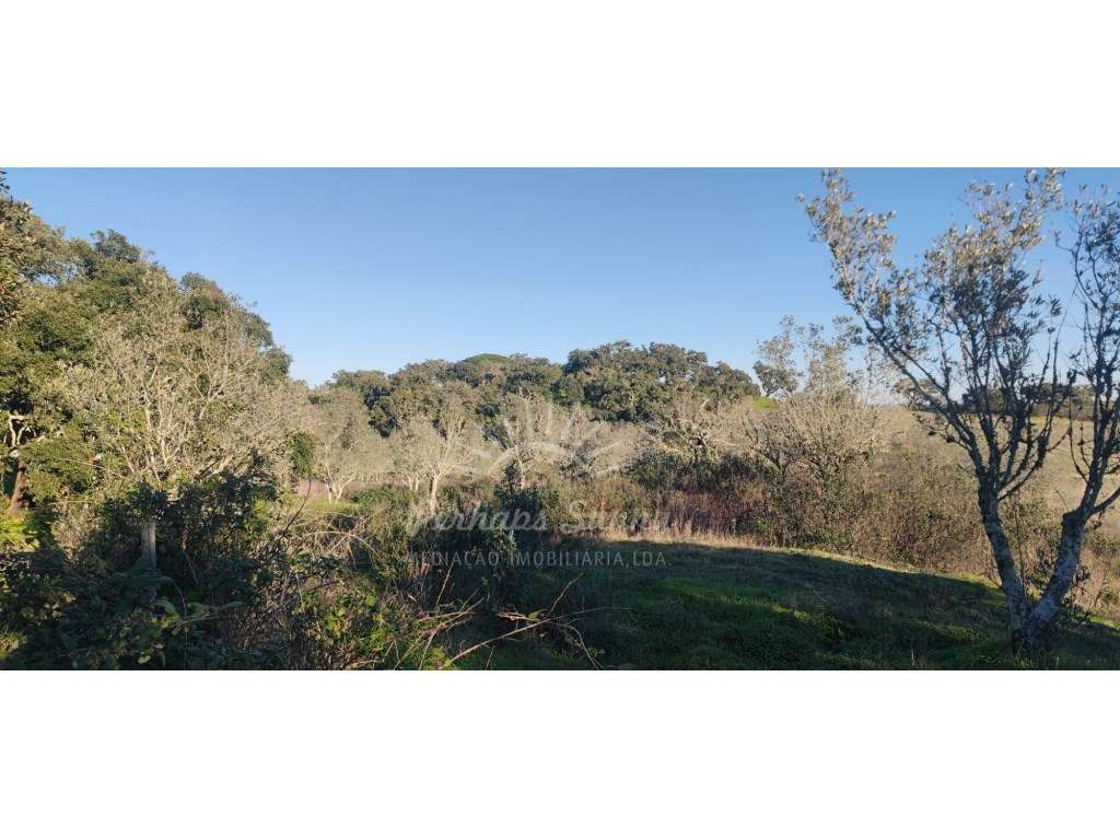 TERRENO RÚSTICO PARA VENDA - UMA OPORTUNIDADE NA SERRA DE GRÂNDOLA-10