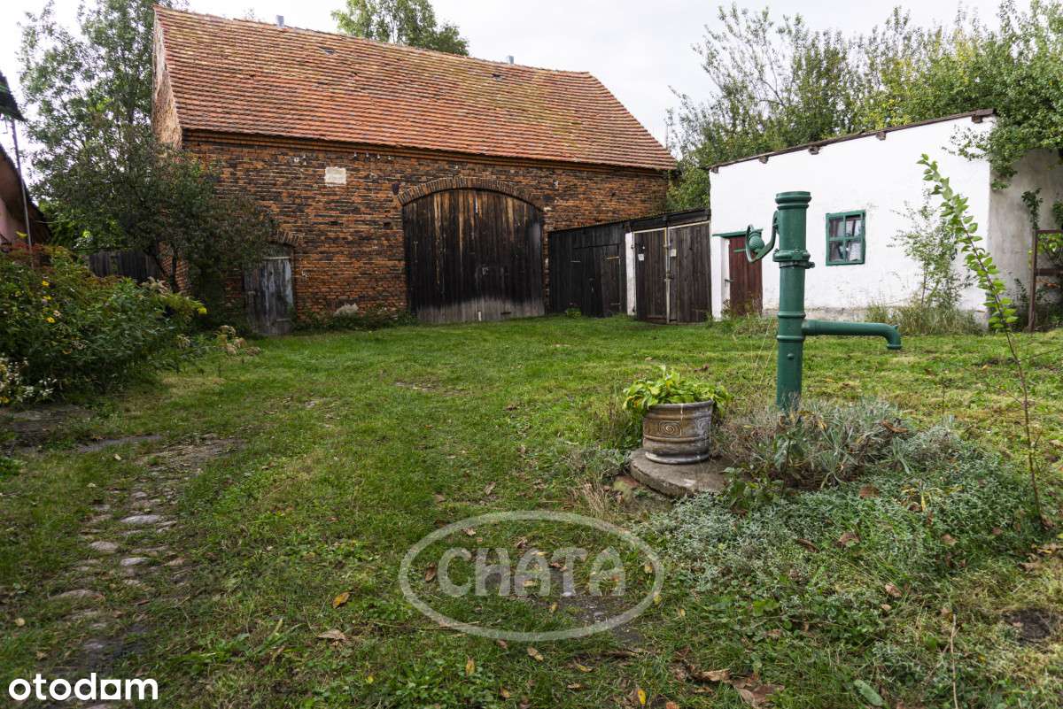 Działka z zabudowaniami w Lutyni obok Dino - Pełny obrazek: 5/16