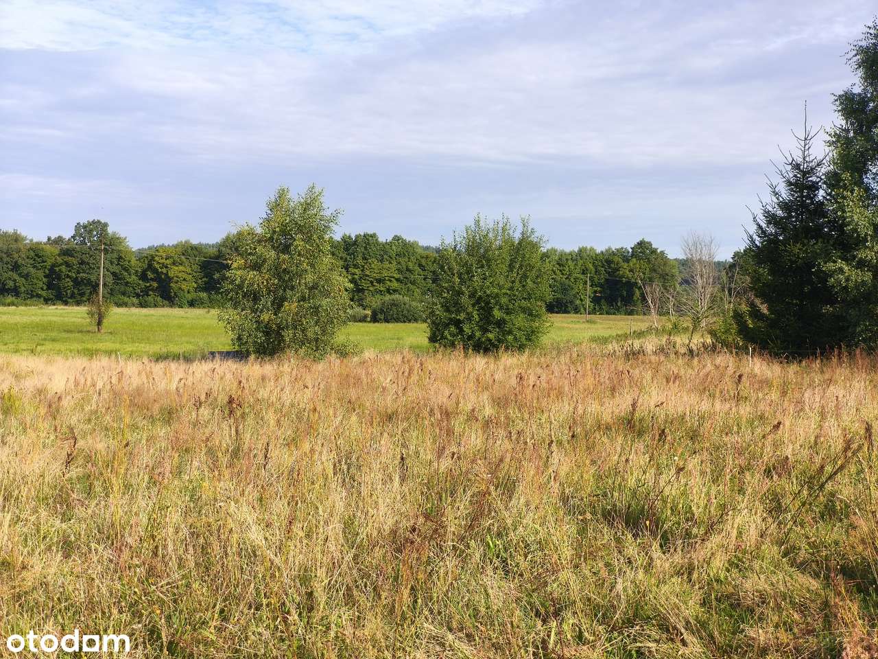 Z dala od spojrzeń sąsiadów-12