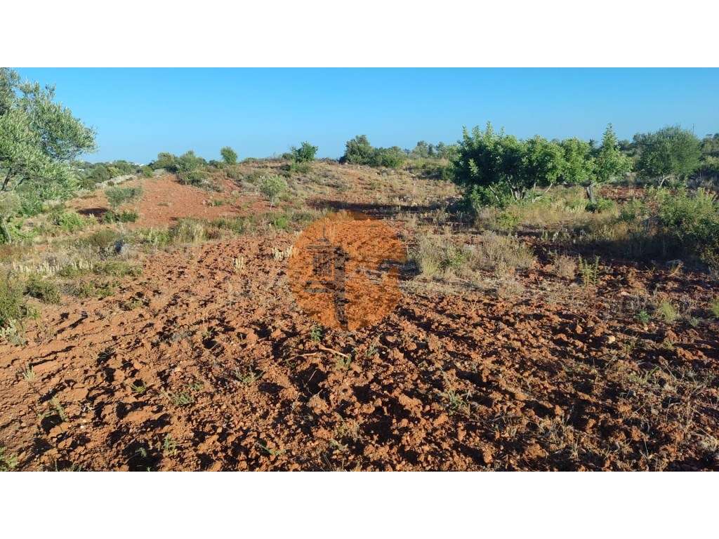 Terreno em Moncarapacho com 20240m2 - Grande imagem: 2/19