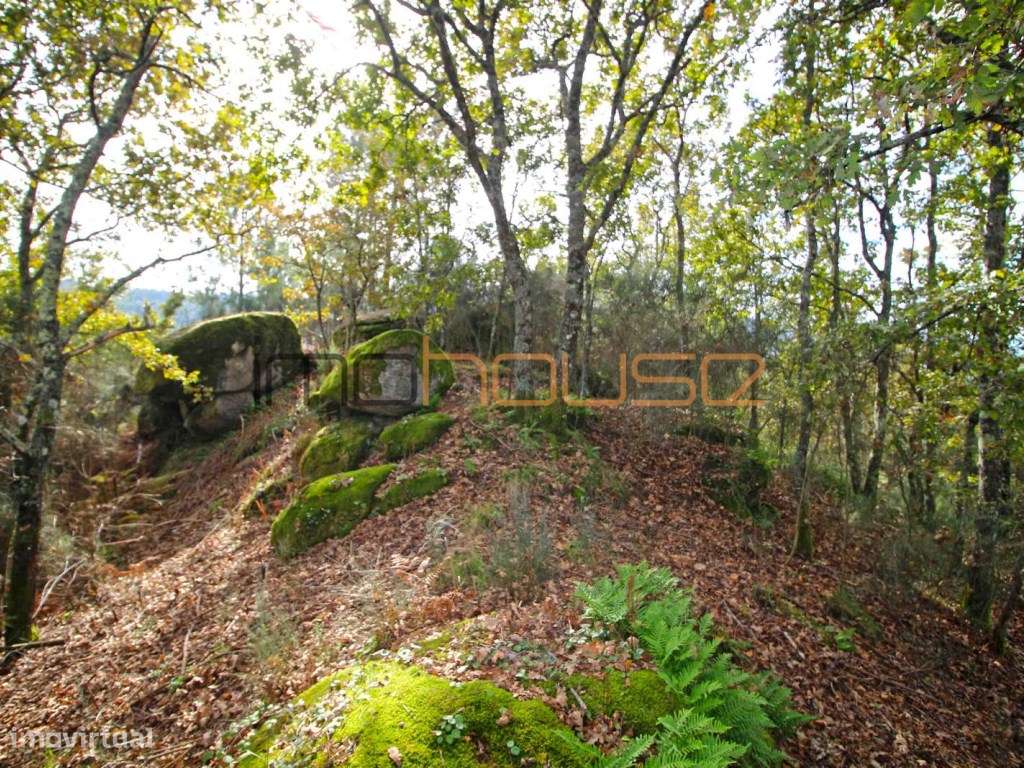 Quinta isolada - Amarante-29