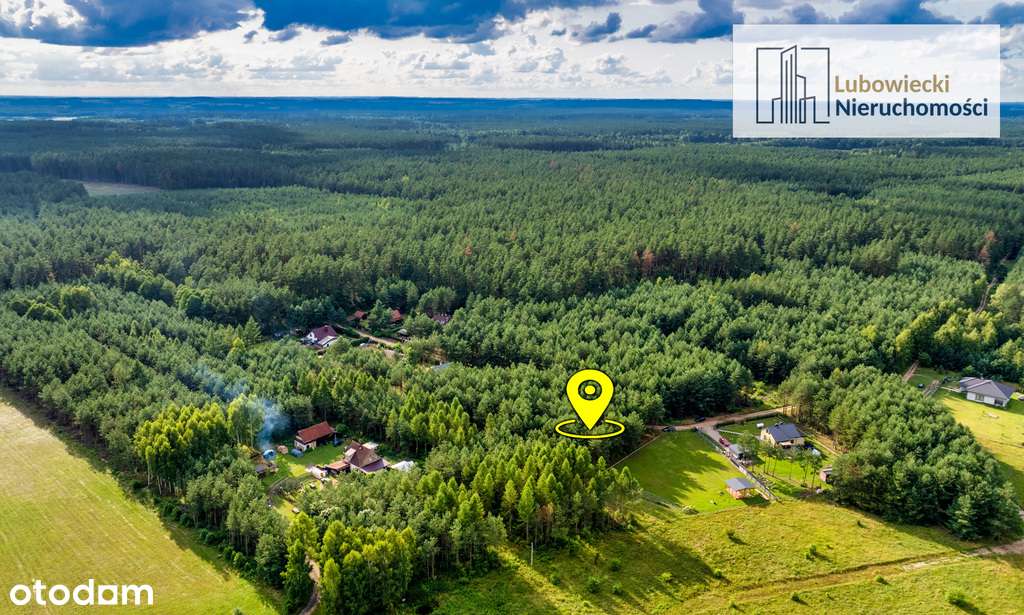 Działka przy lesie w miejscowości Jerutki - Pełny obrazek: 5/10