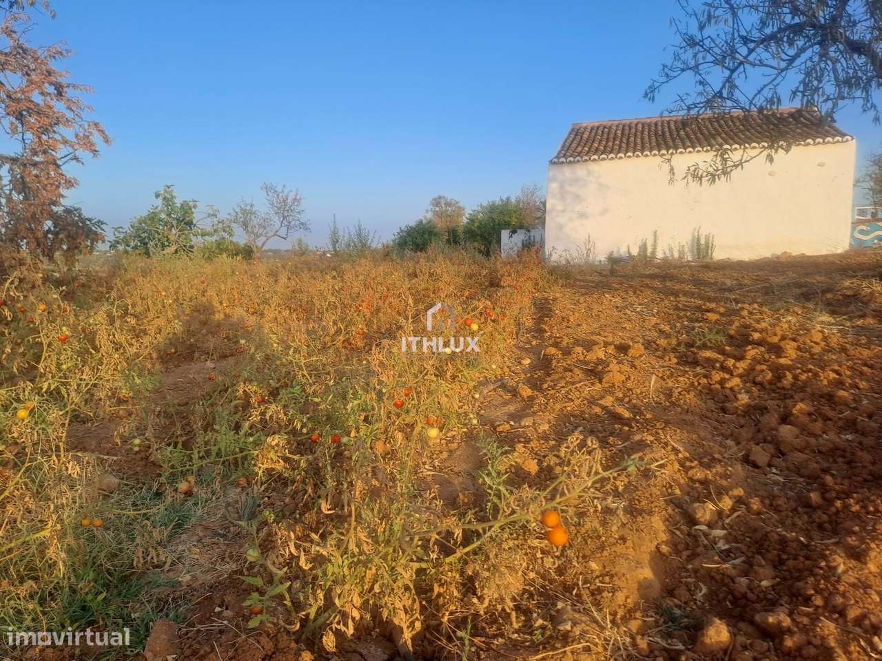 Terreno com ruina - Grande imagem: 2/11