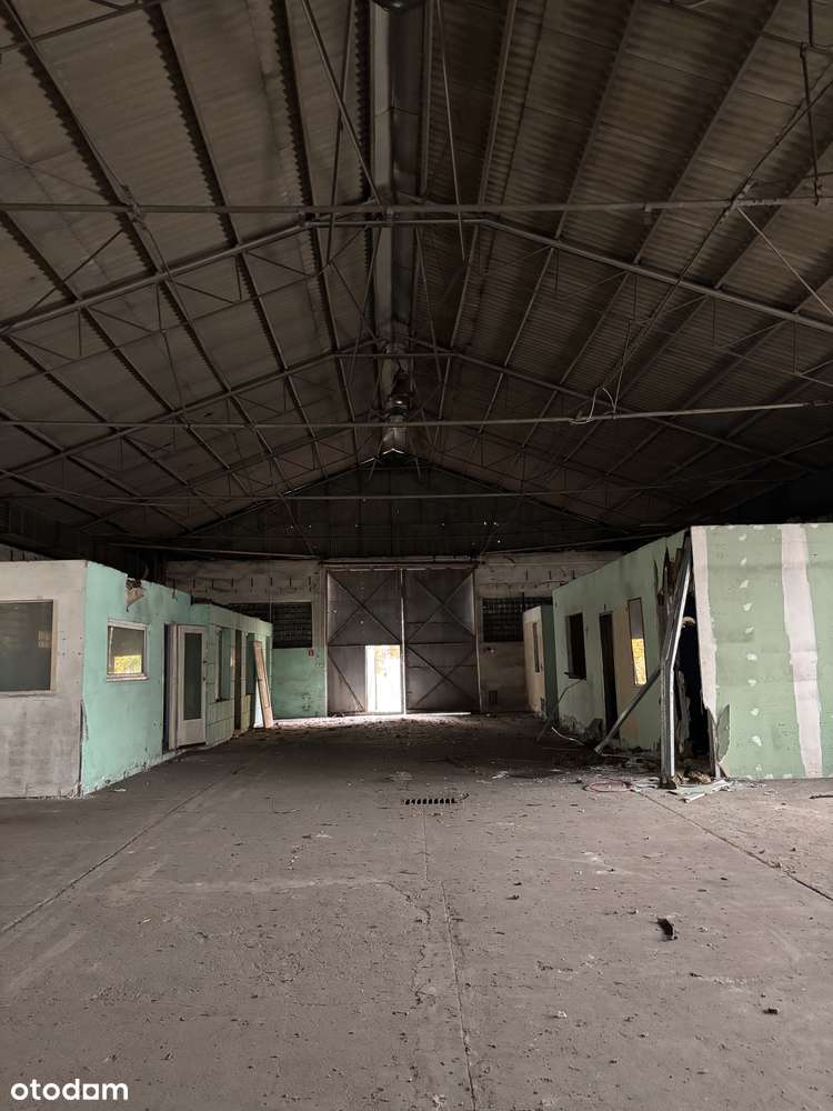 Do wynajęcia magazyn murowany z placem utwardzonym - Pełny obrazek: 5/11