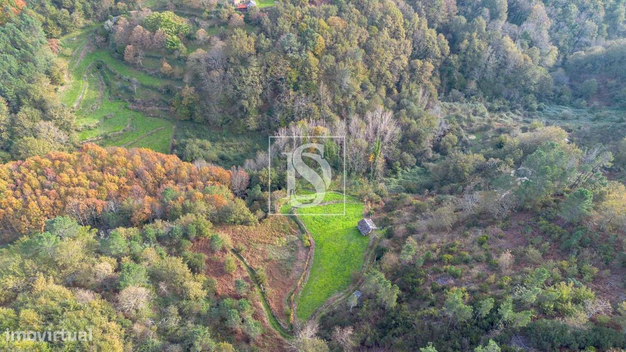 Terreno de 3.000m²  em Ansiães, Amarante, com Vistas... - Grande imagem: 5/10