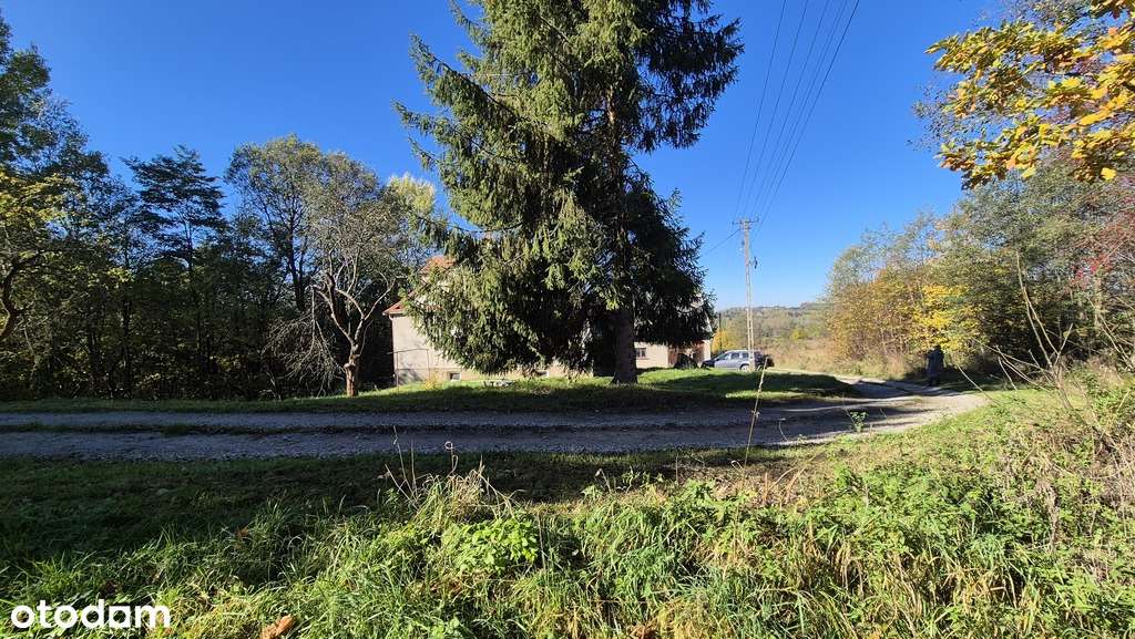 Gospodarstwo z domem 4ha ziemi-16