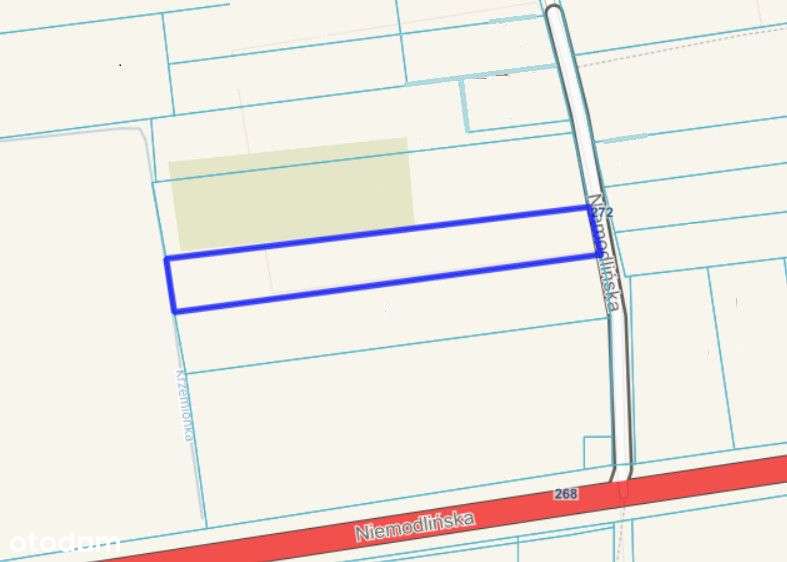 Działka, 2 163 m², Wawelno - Pełny obrazek: 4/4