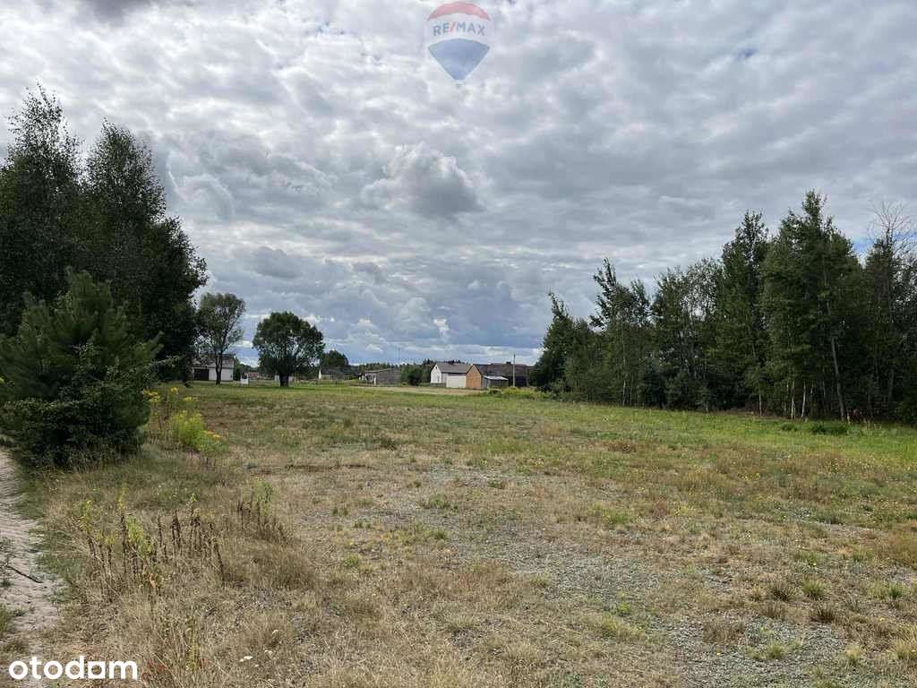 Działka siedliskowa w Pustelniku - Pełny obrazek: 4/9