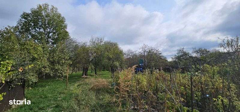 Case si teren de vanzare com. Cornu De Jos Str Malulul Prahovei Nr. 32 - Imagine principală: 5/7