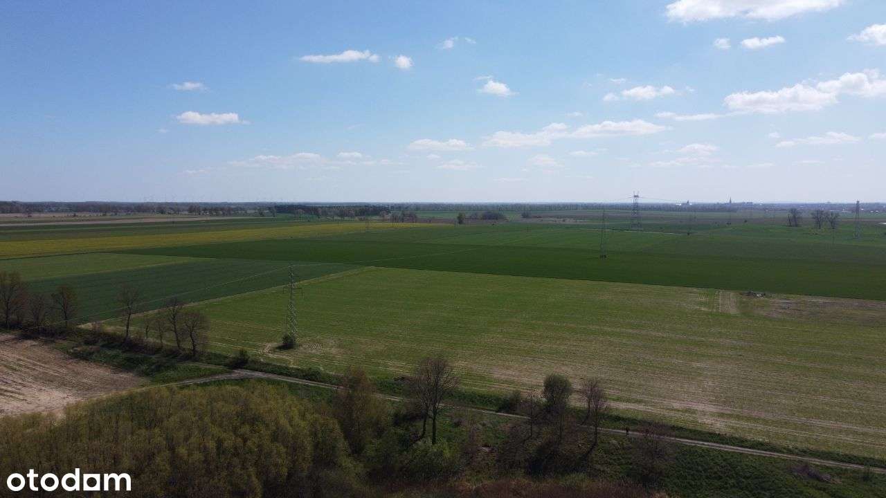 Ostatnie 2 działki - 65 pln/m2! MAŁKOCIN - Pełny obrazek: 5/5