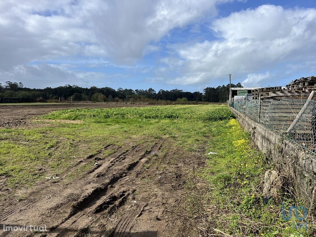 Terreno em Braga de 5681,00 m2