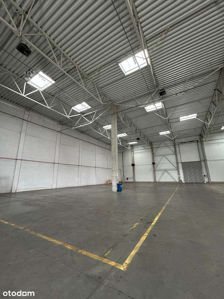 Wynajmę powierzchnię magazynową - Pełny obrazek: 4/4