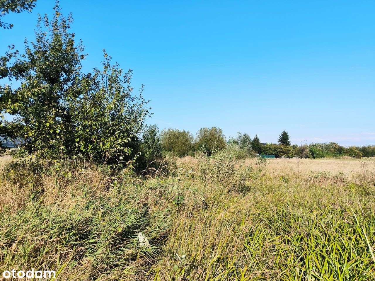 Duża Działka w Super Rejonie.-2