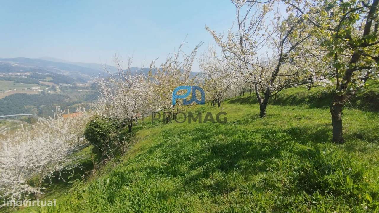 Quinta do Valado- Excelente Investimento em Resende-50