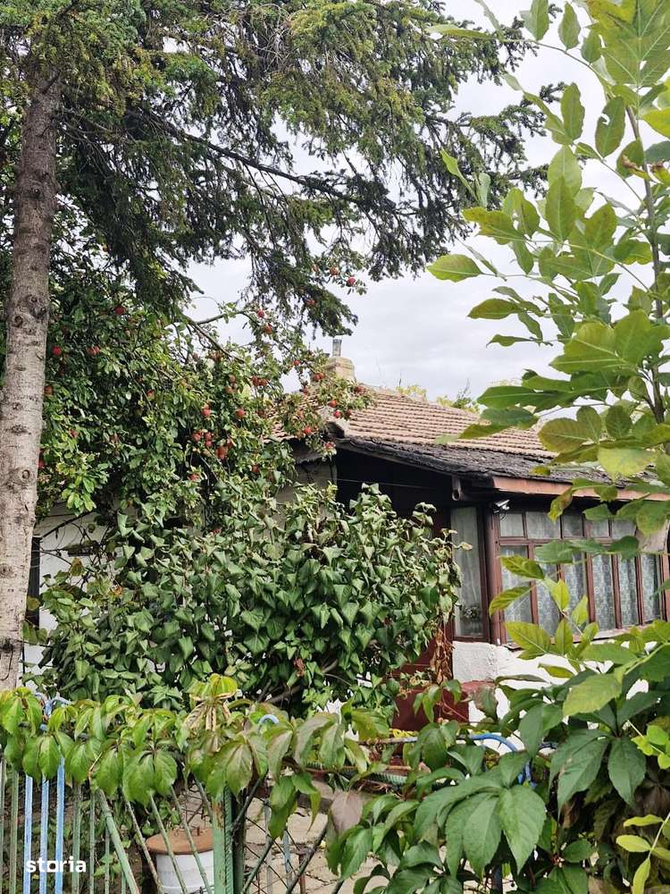 Colentina-Peisajului-6