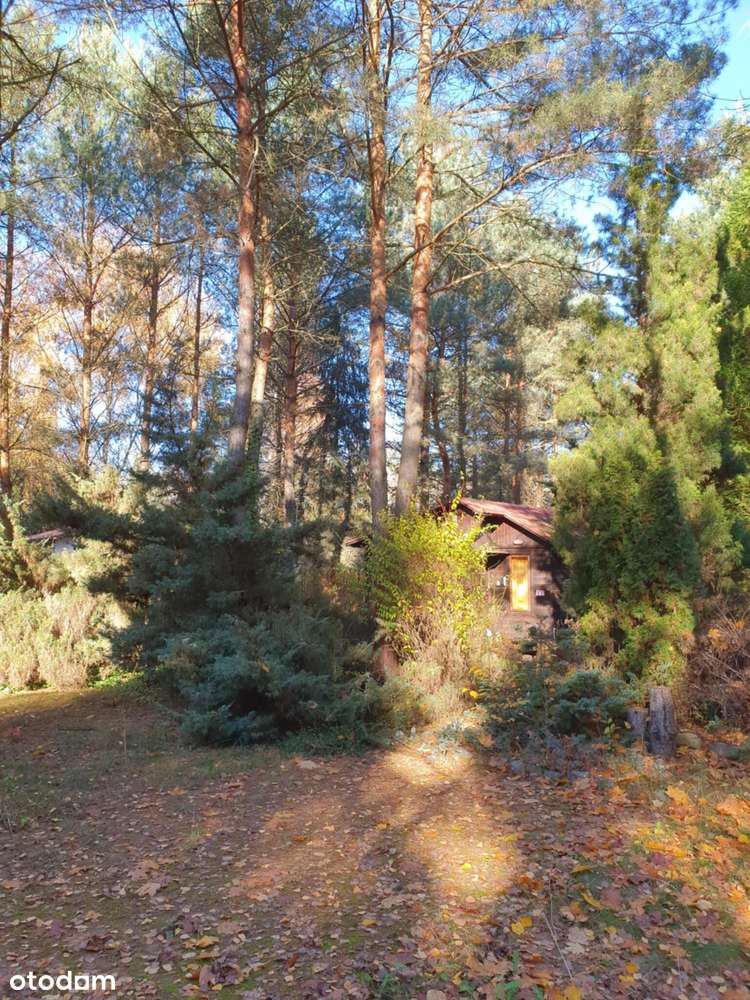 Dom letniskowy na sprzedaż w Siedlątkowie-7