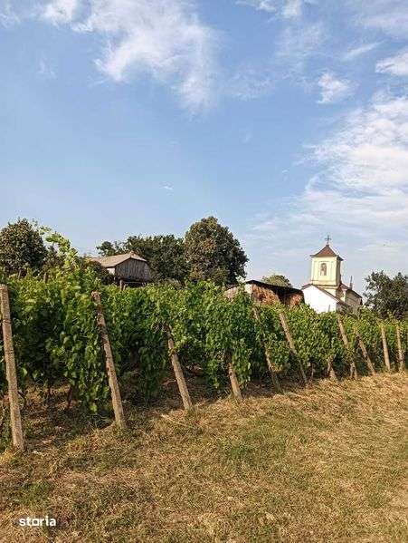 Casa de vanzare cu teren 3000 mp - Imagine principală: 4/7