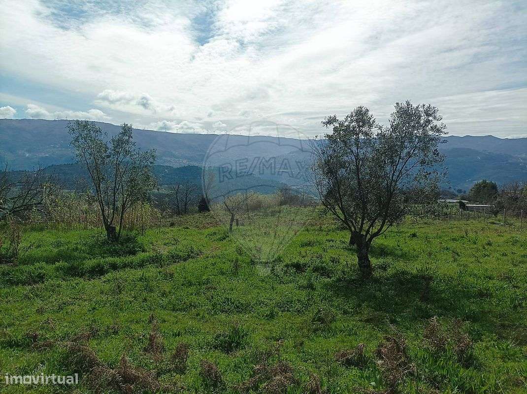 Terreno  para venda - Grande imagem: 4/15