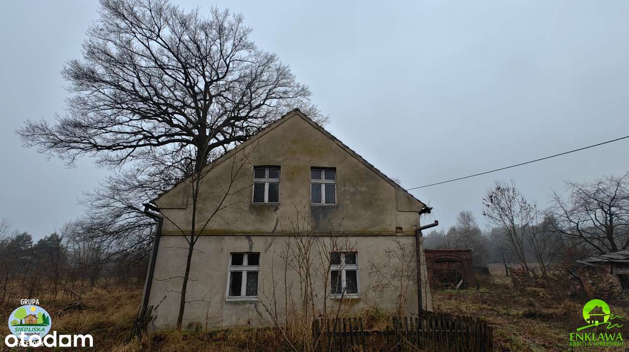 ENKLAWA prezentuje: STARE i KLIMATYCZNE siedlisko w lubuskim! Zobacz!-9