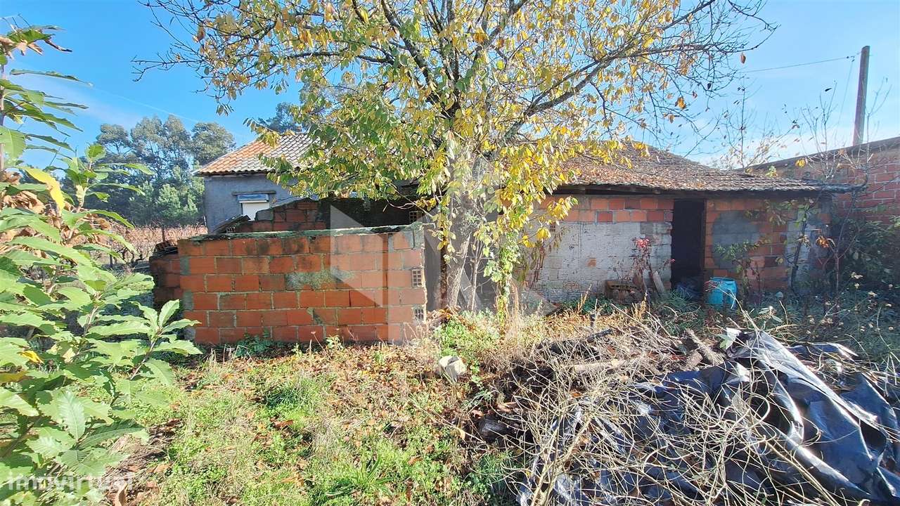 Moradia Devoluta T1 Venda em Molelos,Tondela-10