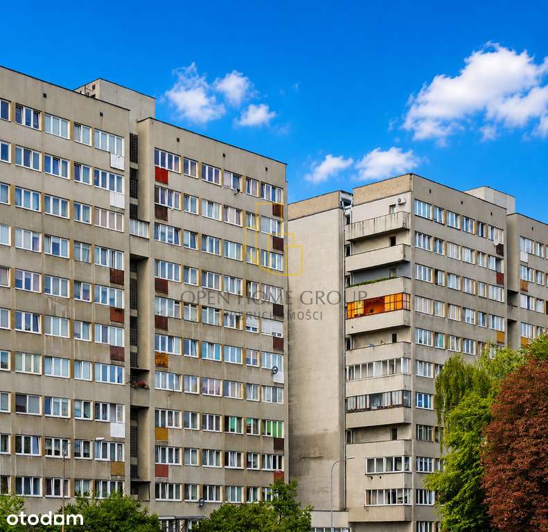 Szczepin/2pok./winda/piwnica/balkon/francuski/top