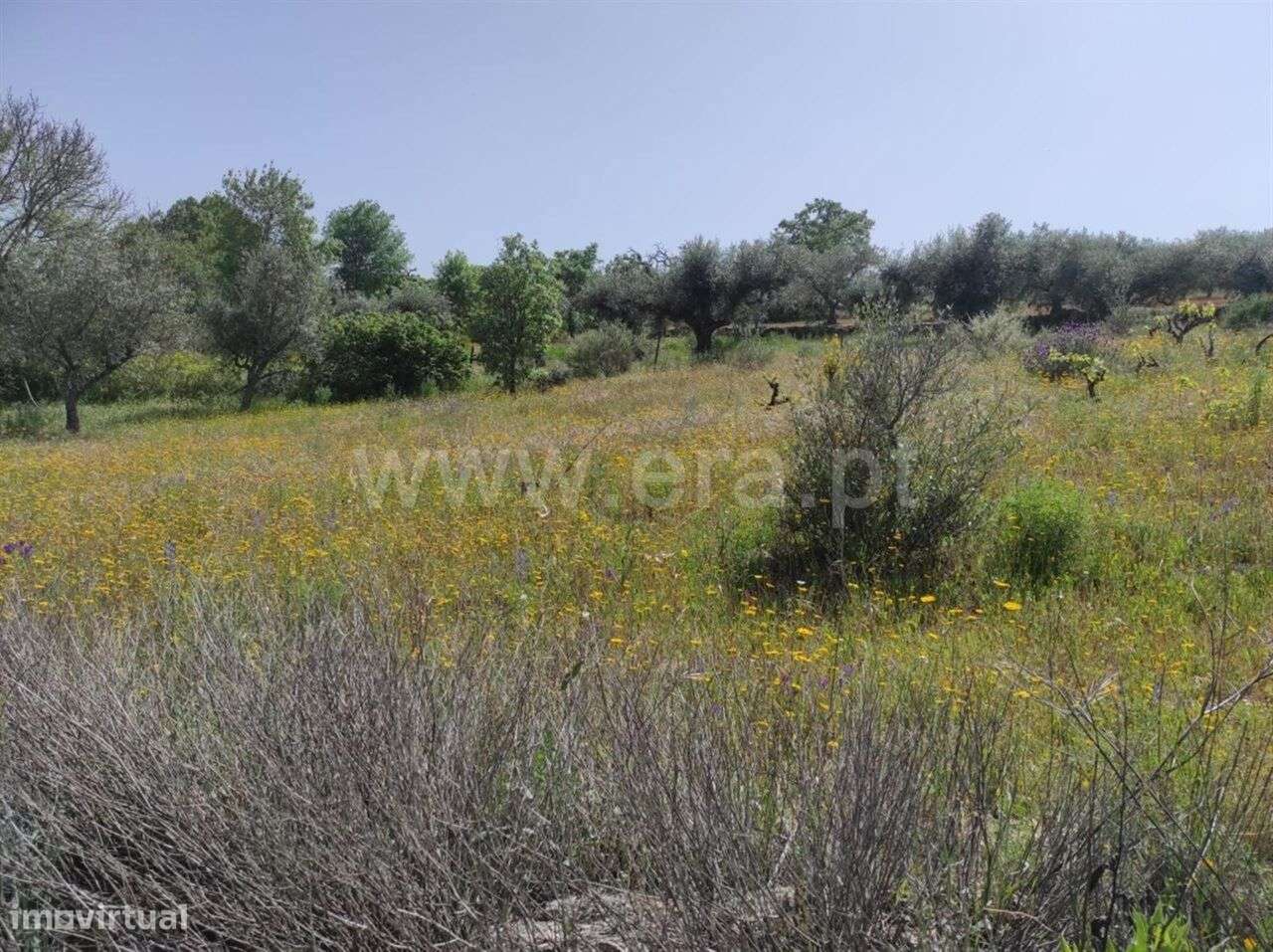 Quinta Estúdio / Fundão, Orca - Grande imagem: 5/12