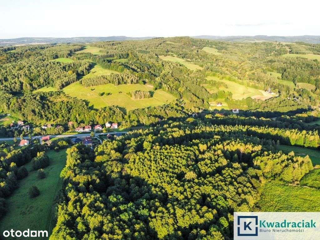 Działka w Lutczy idealna pod Inwestycję – 4,48 ha-6