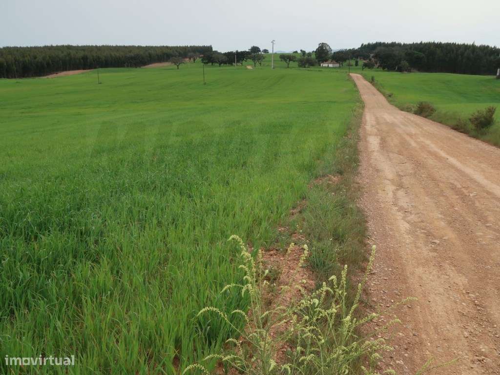 Quinta em excelente localização-25