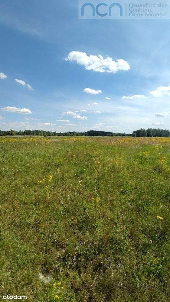 Działka budowlana w Błogosławiu. - Pełny obrazek: 2/7