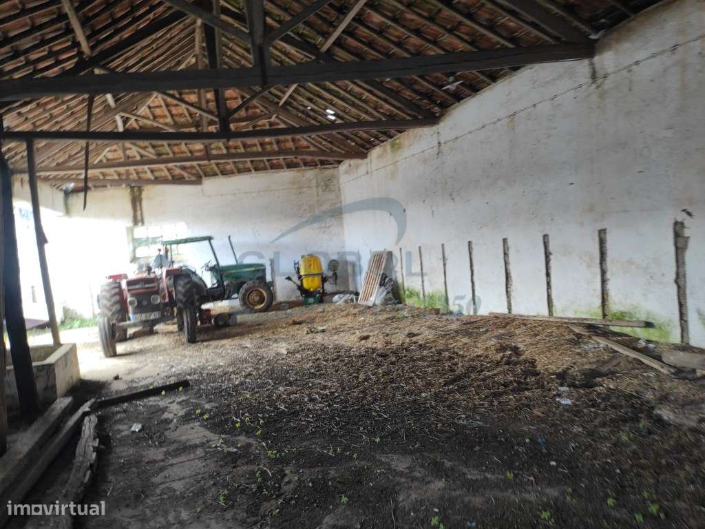 Conjunto imobiliário com antigo lagar e elevado potencial construti... - Grande imagem: 2/11