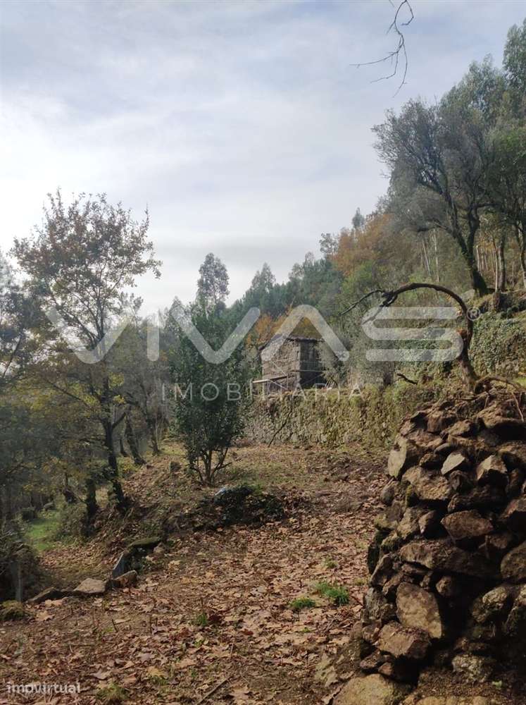 Moradia para Restaurar T1 Venda em Valdosende,Terras de Bouro - Grande imagem: 5/60